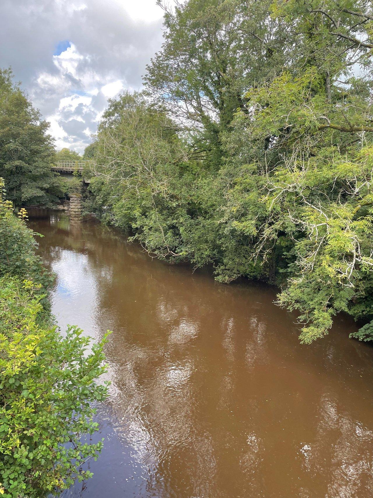 La Léguer River à Lannion offre un paysage naturel verdoyant, idéal pour le télétravail en Bretagne.