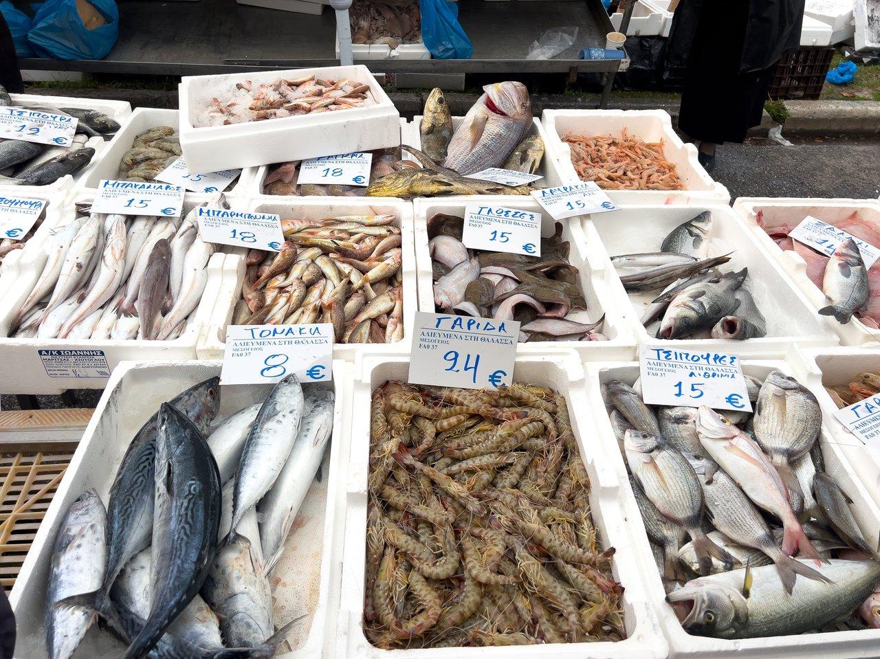 Vente de fruits de mer frais dans un marché traditionnel breton, véritable symbole du commerce local.