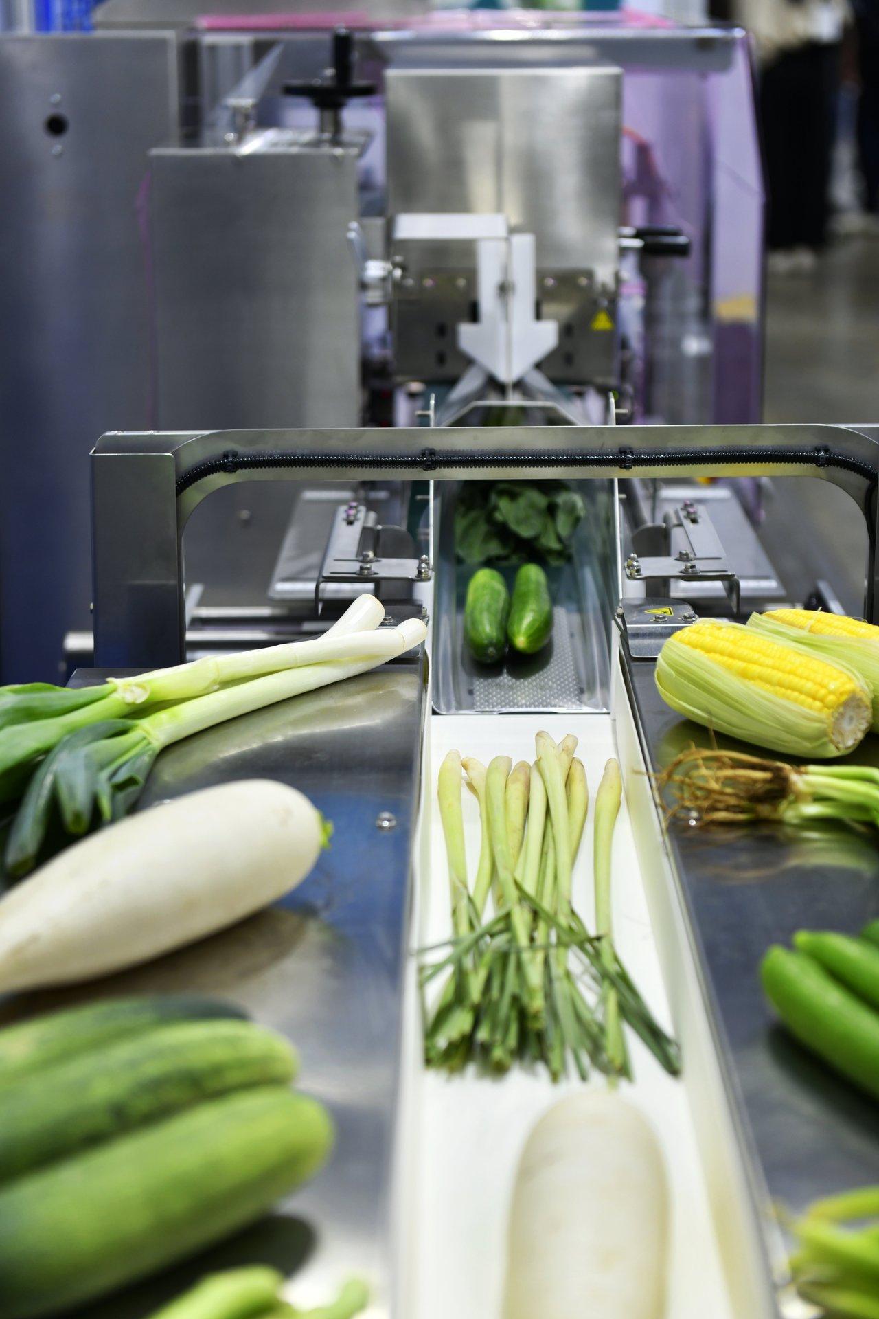 Un site de food processing plant breton dédié à la transformation et à la logistique des légumes frais, piliers de l'agroalimentaire français.