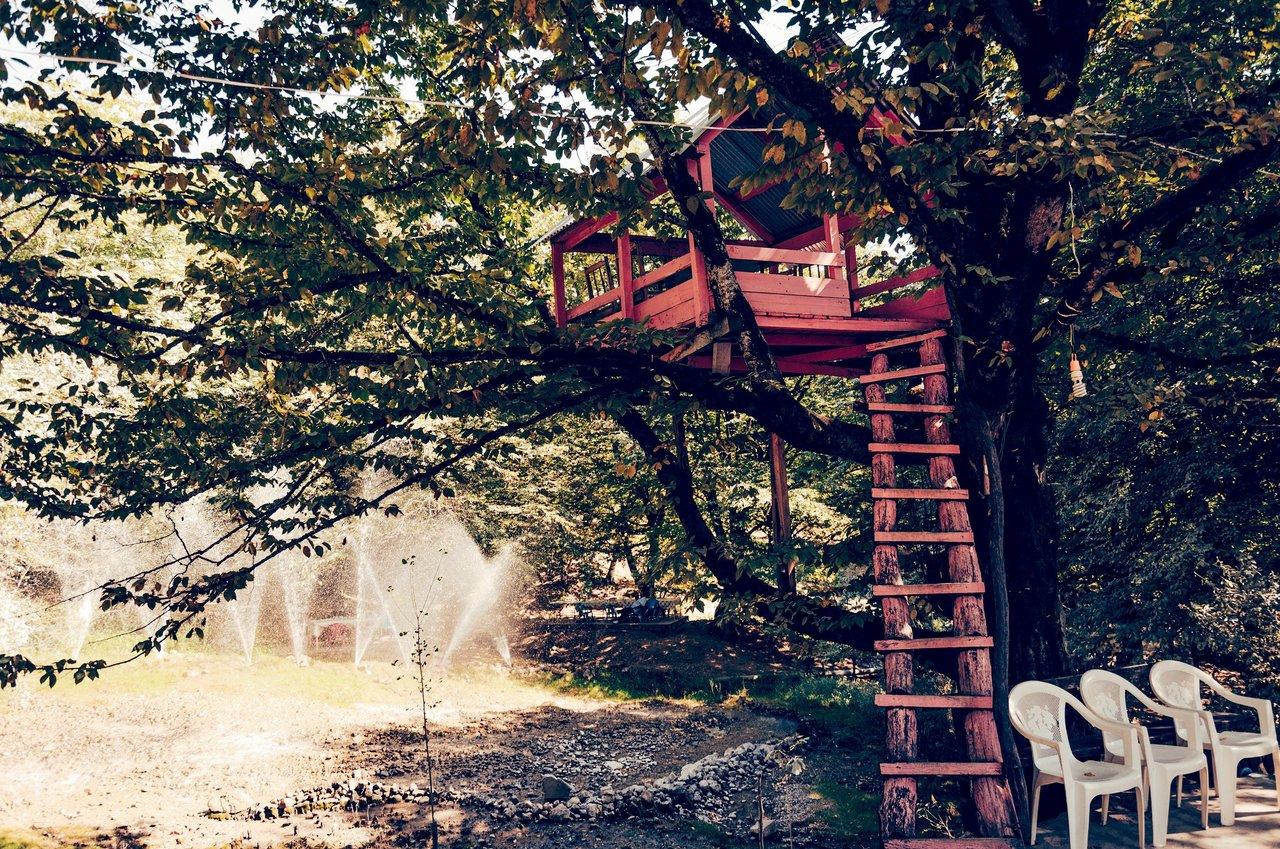 Une cabane en bois perchée dans la forêt bretonne avec terrasse offrant une vue imprenable sur le feuillage.